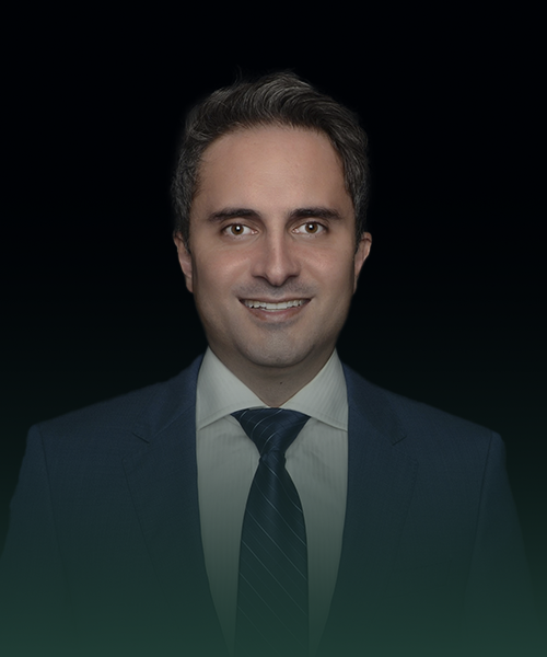 Imagem Dr. Luiz Tonon